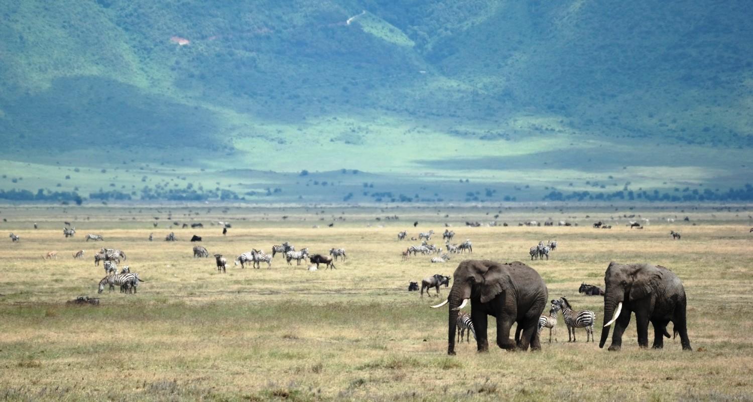 Ngorongoro Crater Tanzania