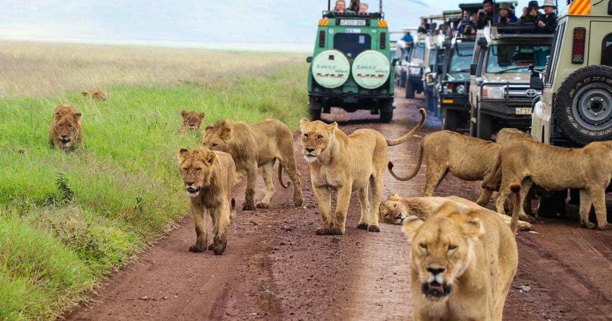 Serengeti National Park